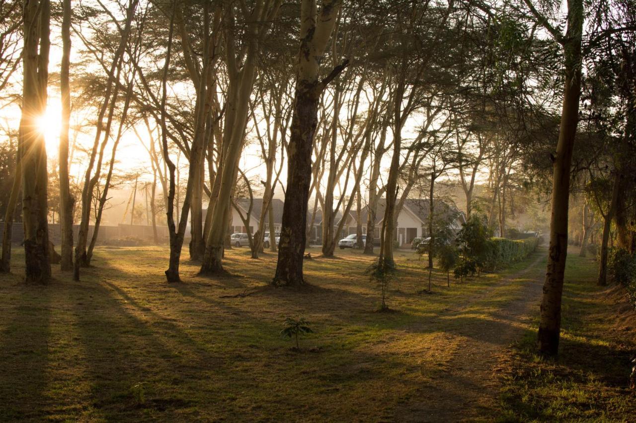 Burch'S Resort Naivasha Εξωτερικό φωτογραφία